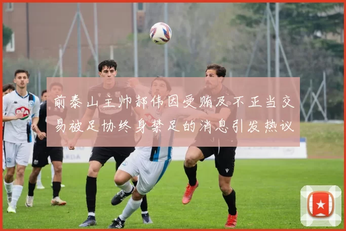 前泰山主帅郝伟因受贿及不正当交易被足协终身禁足的消息引发热议