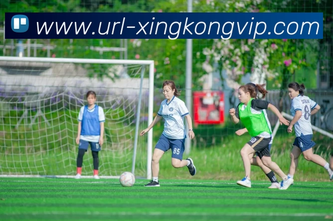 多媒体互动体验