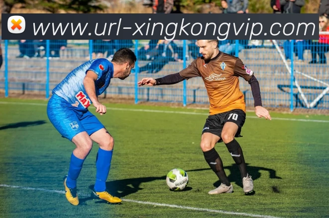 星空体育APP 体育赛事宣传图